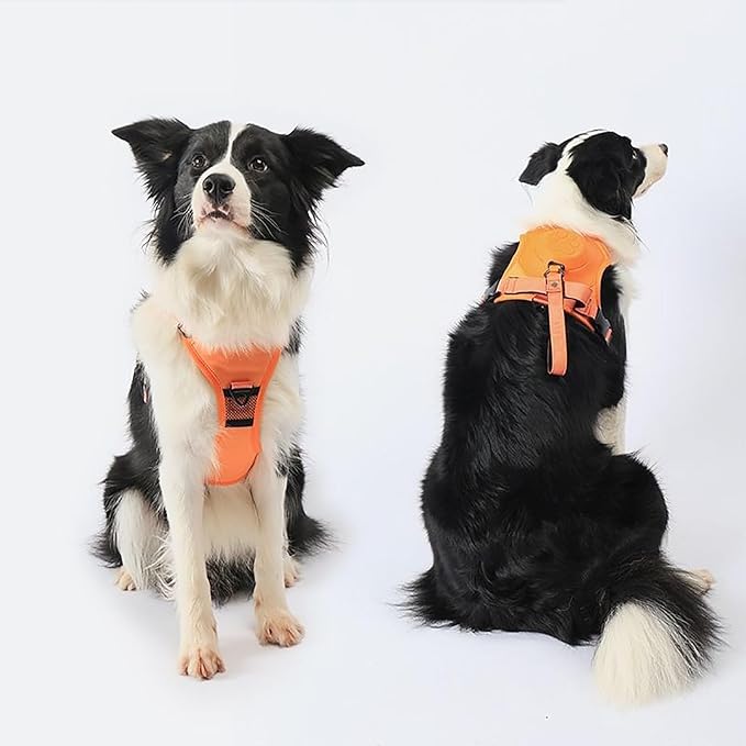 PupJoyCo - Dog Harness and Retractable Leash