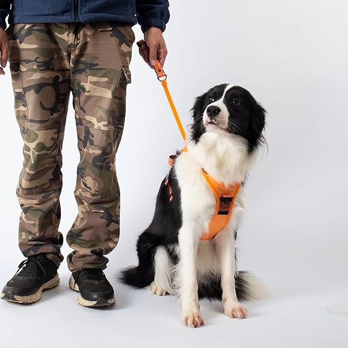 PupJoyCo - Dog Harness and Retractable Leash